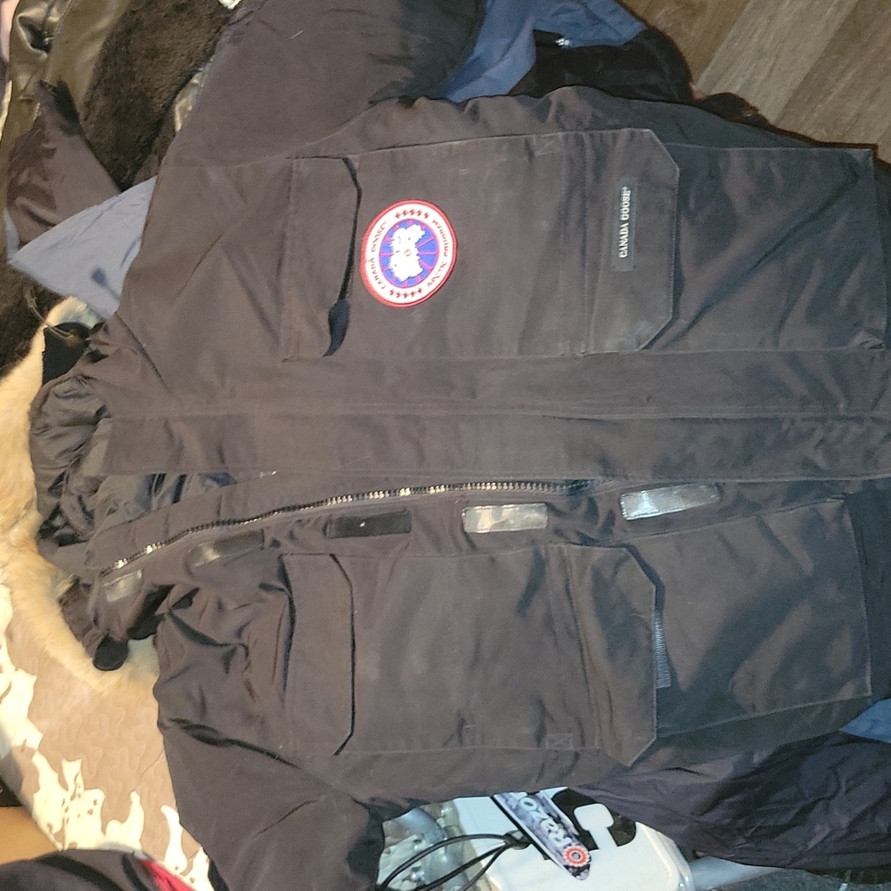 Canada goose arctic program